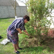 субботник